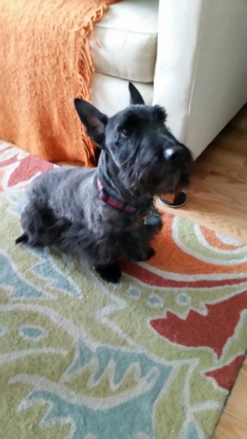 Mitzi M.'s profile image