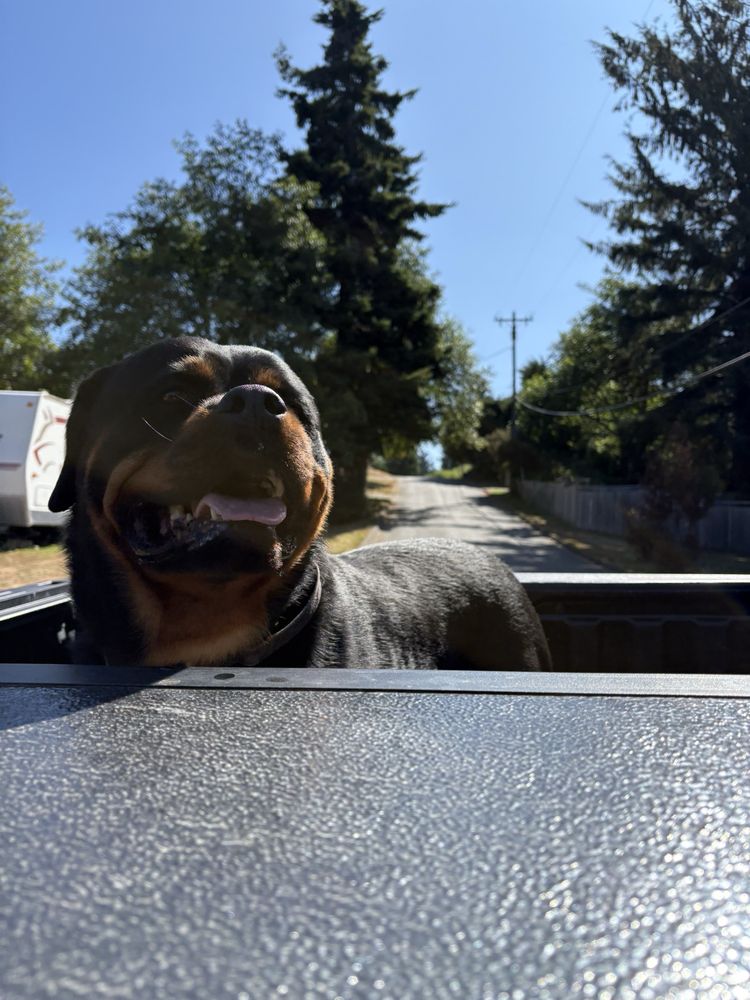 Andrew D.'s profile image