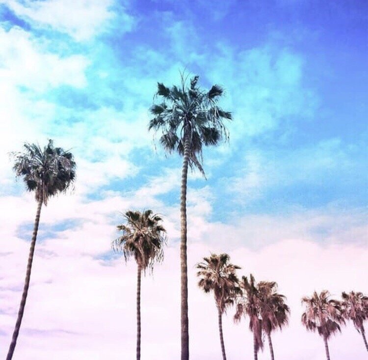 Nancy G.'s profile image