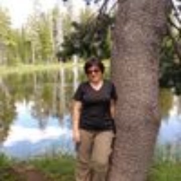 Dina N.'s profile image