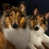 Kimberly Dupre Robillard's profile image