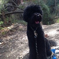 Suzanne F.'s profile image