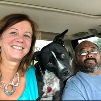 Susan Freeman's profile image