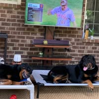 Matt Burns's profile image