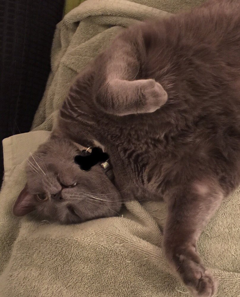 AMANDA A.'s profile image