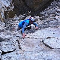 Louie L.'s profile image