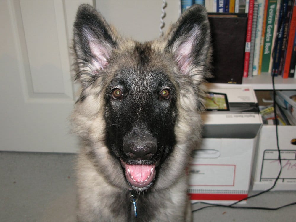 Lori M.'s profile image