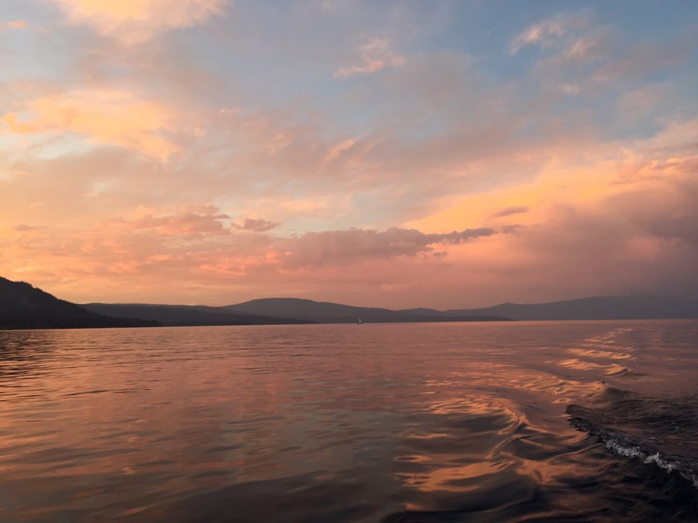 Kim S.'s profile image