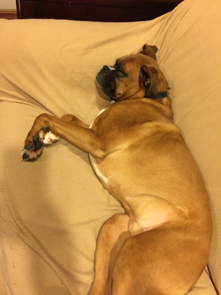 Greg T.'s profile image