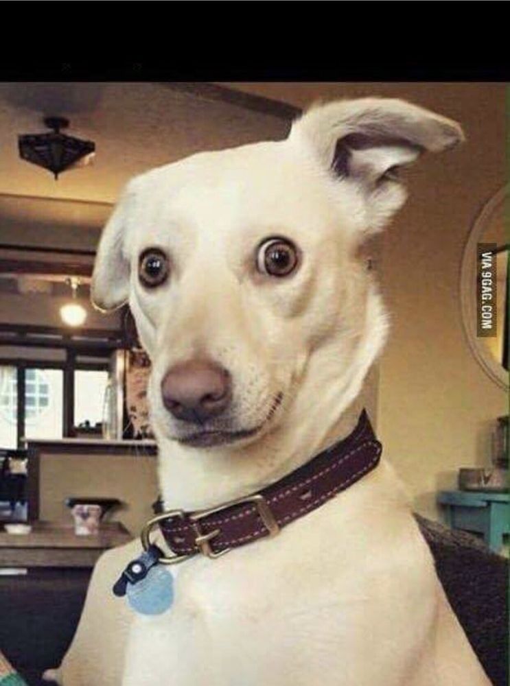 Tim B.'s profile image