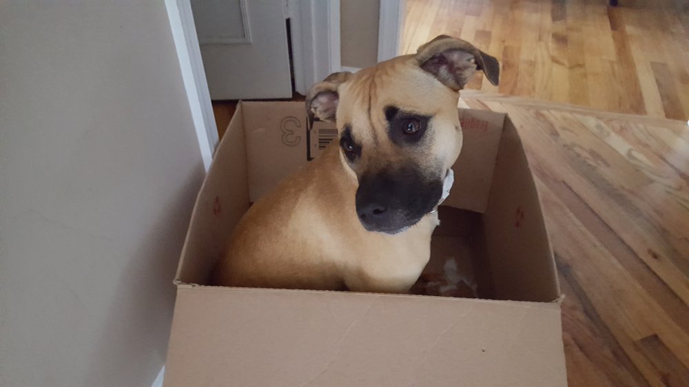 Christy M.'s profile image