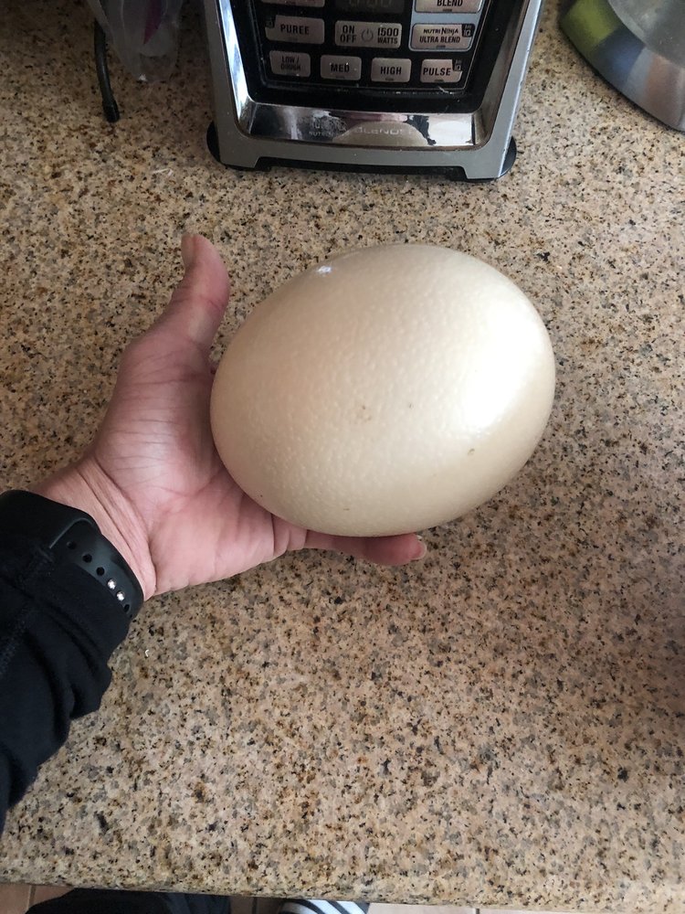 L C.'s profile image