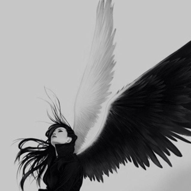 Mignon E.'s profile image