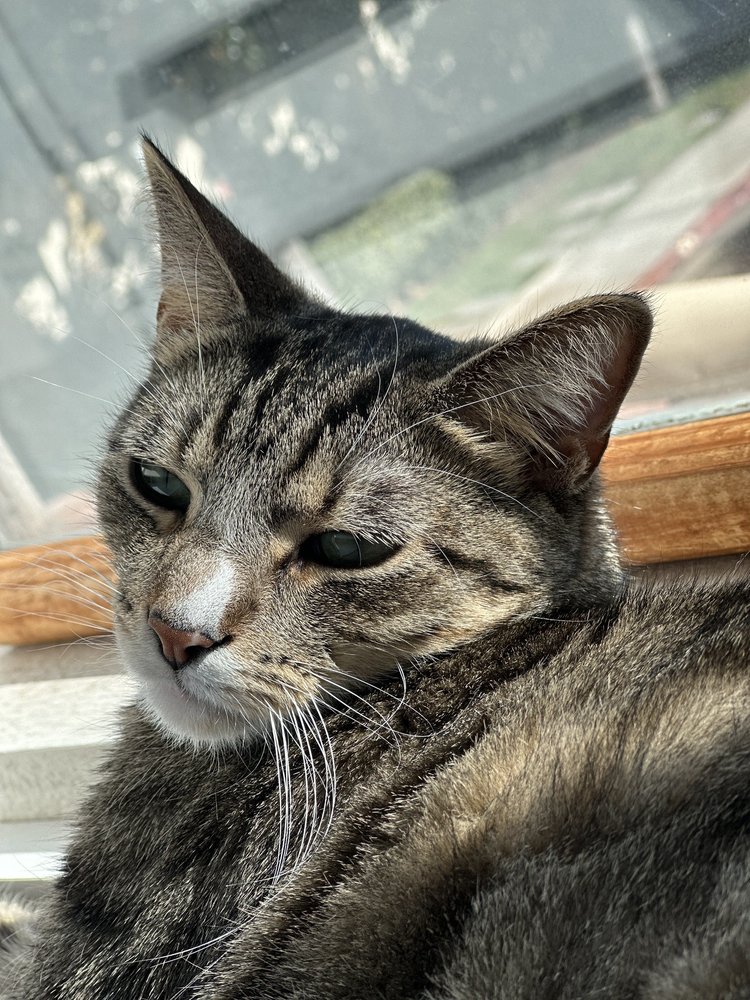 David J.'s profile image