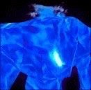 John E.'s profile image