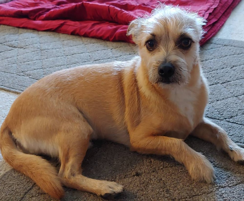 Tracy S.'s profile image