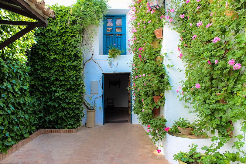 California L.'s profile image