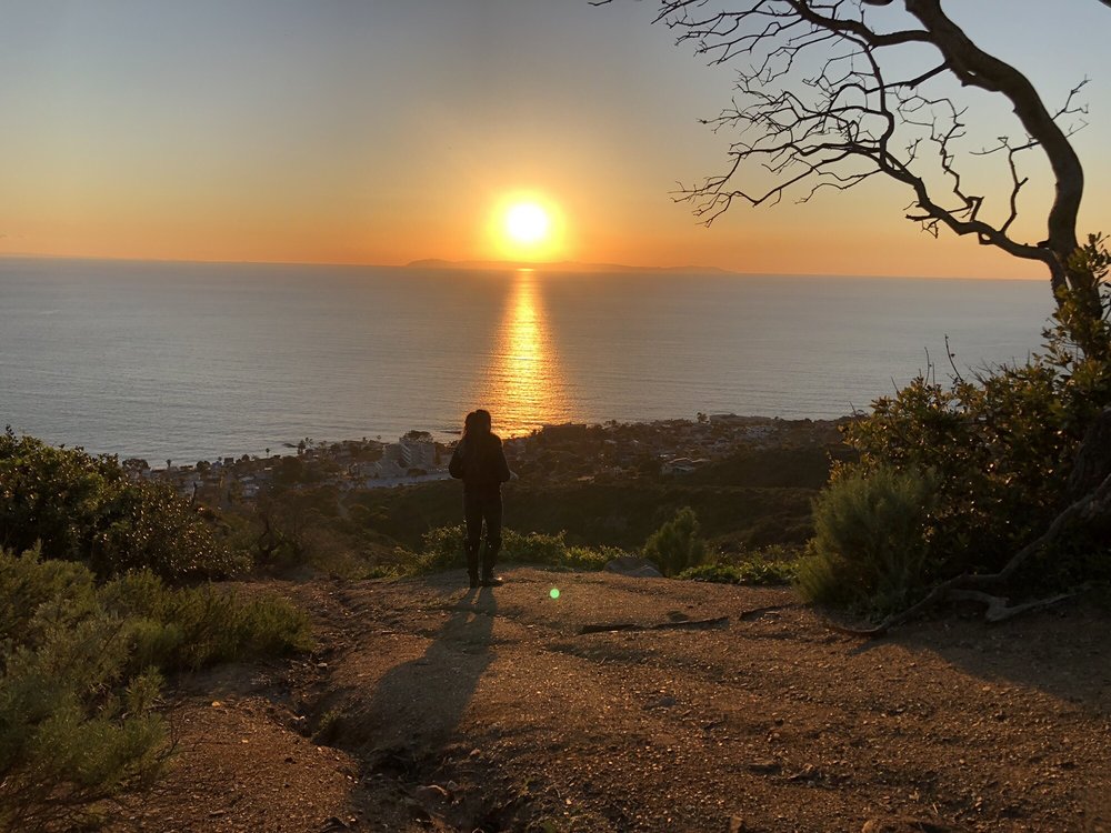 Veruca S.'s profile image