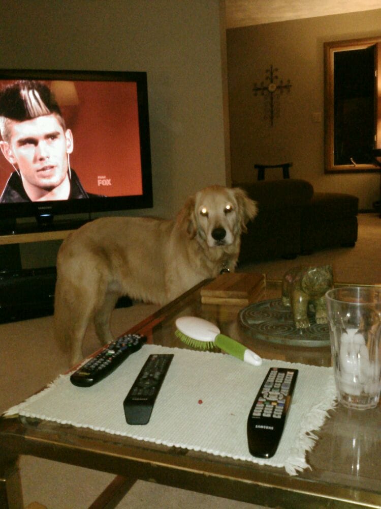 Mimi K.'s profile image