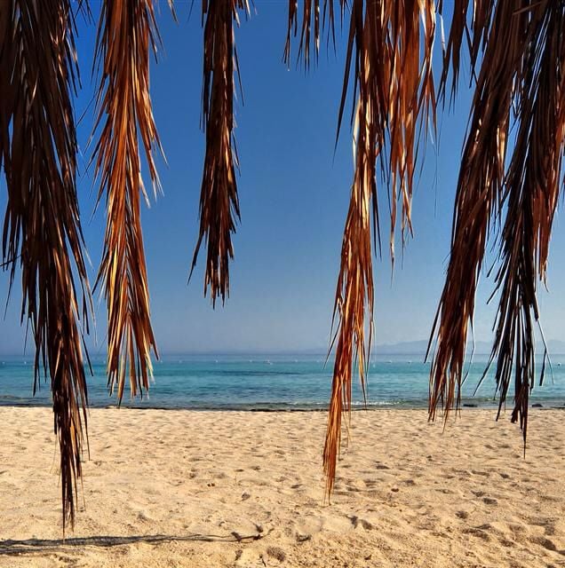 DJ S.'s profile image