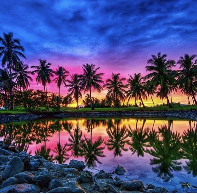 Moelicious209 ..'s profile image