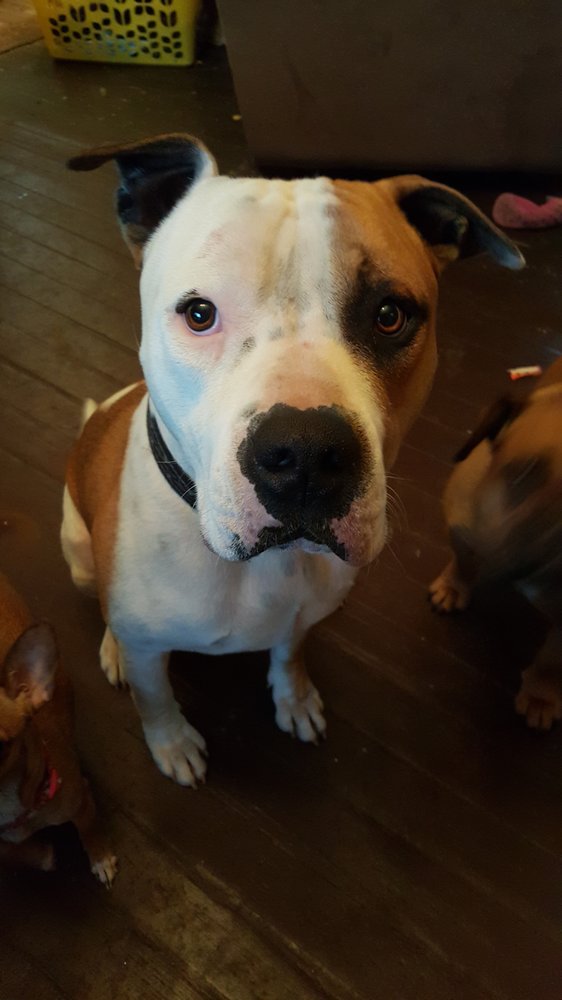 Kristen S.'s profile image