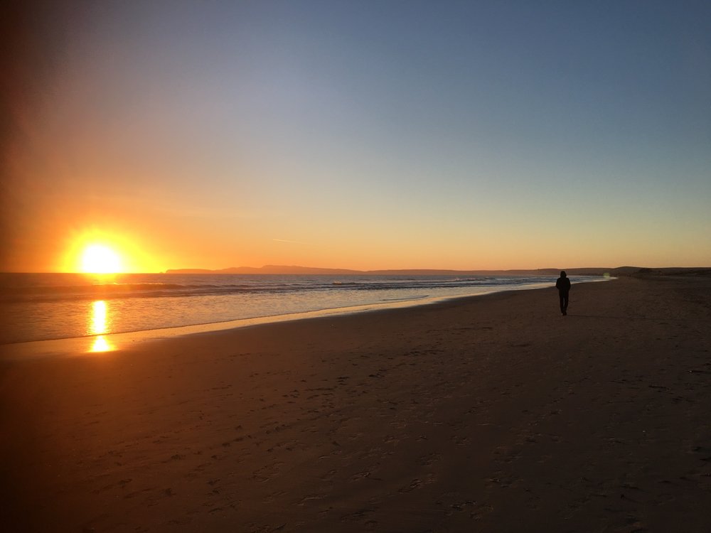 Wells P.'s profile image