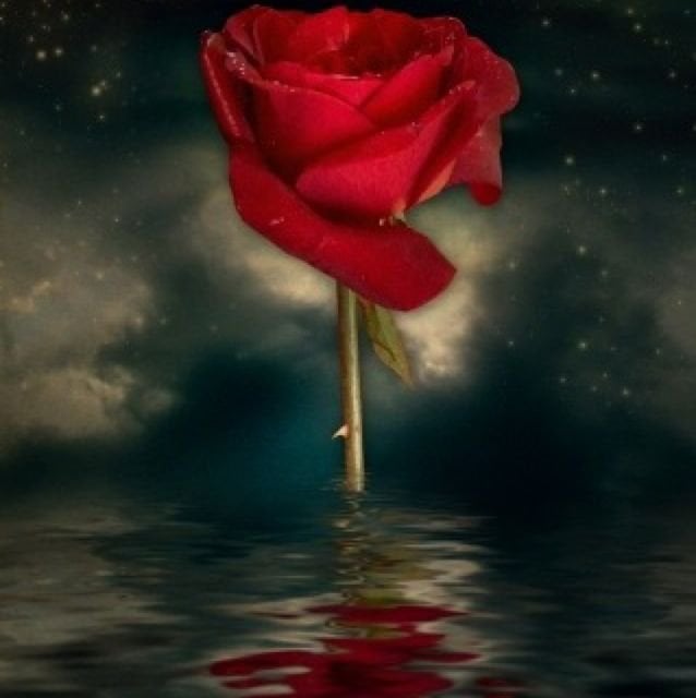 K C.'s profile image