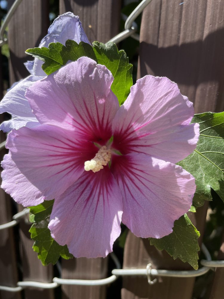 Jen C.'s profile image