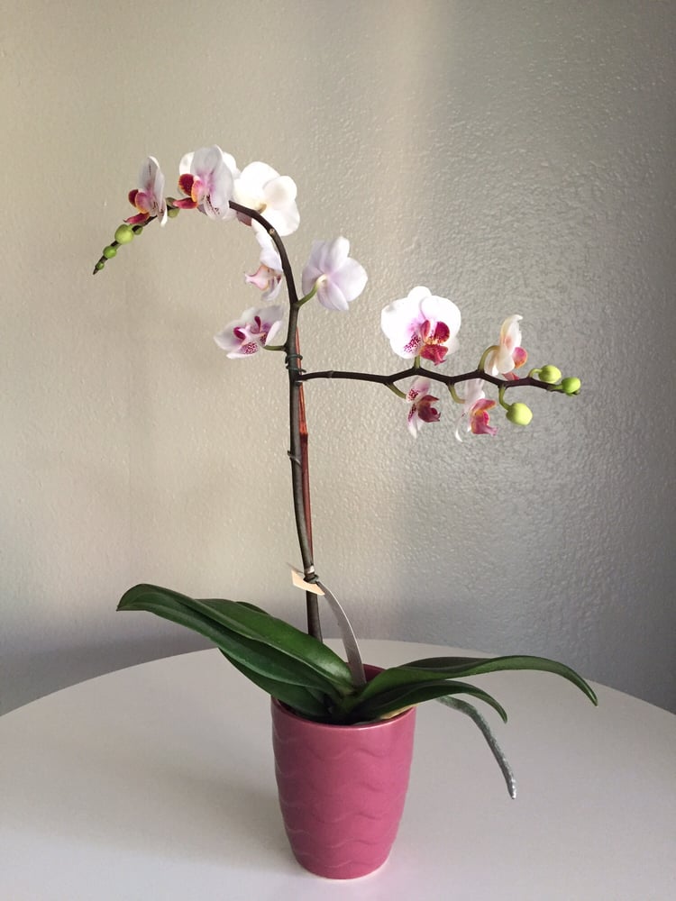 Briana R.'s profile image