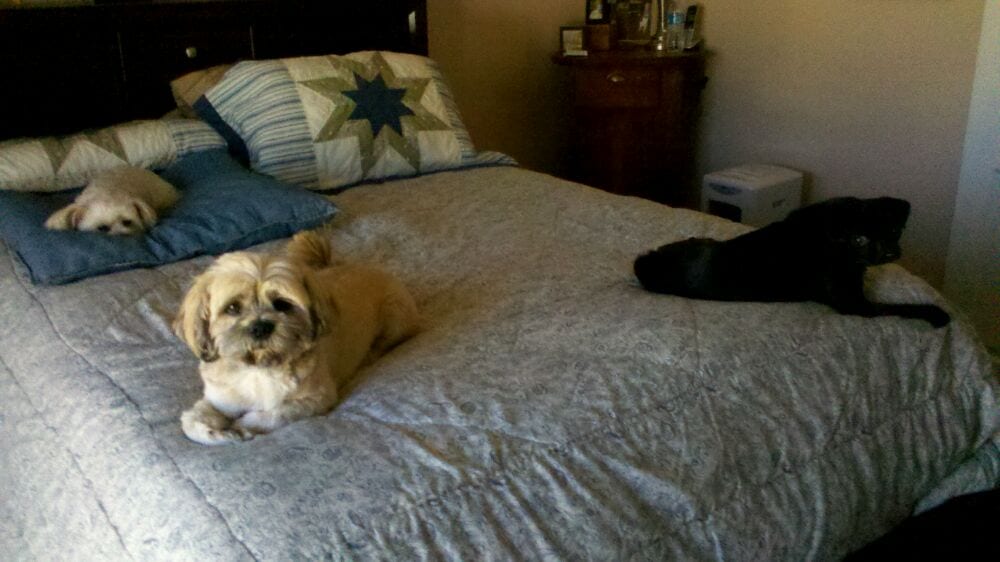 Nancy Z.'s profile image