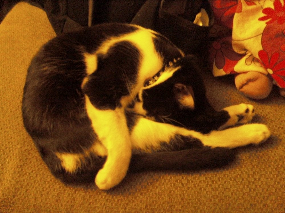 Fritz D.'s profile image