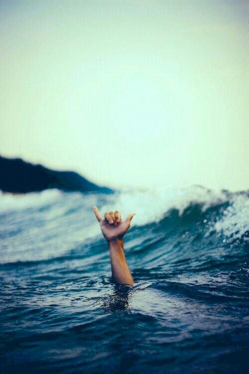 Kurt E.'s profile image