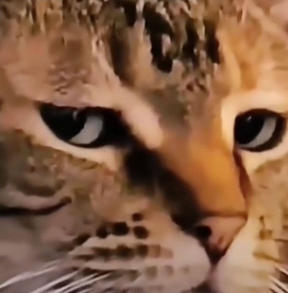 Whastsina N.'s profile image