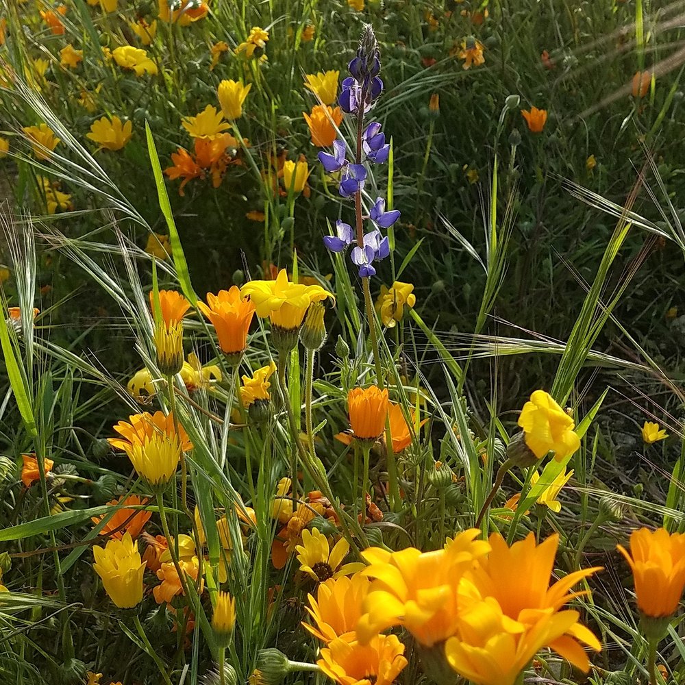 - -.'s profile image