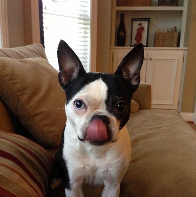 Kines N.'s profile image