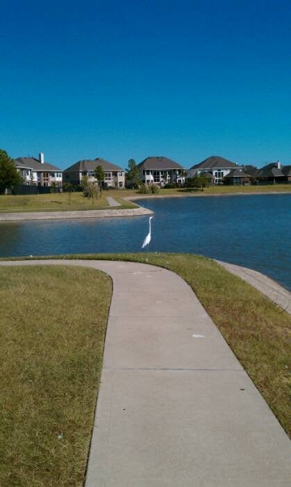 Mulan C.'s profile image