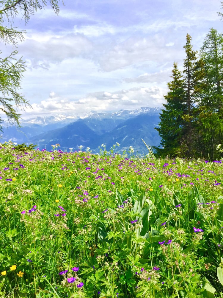 Genna B.'s profile image