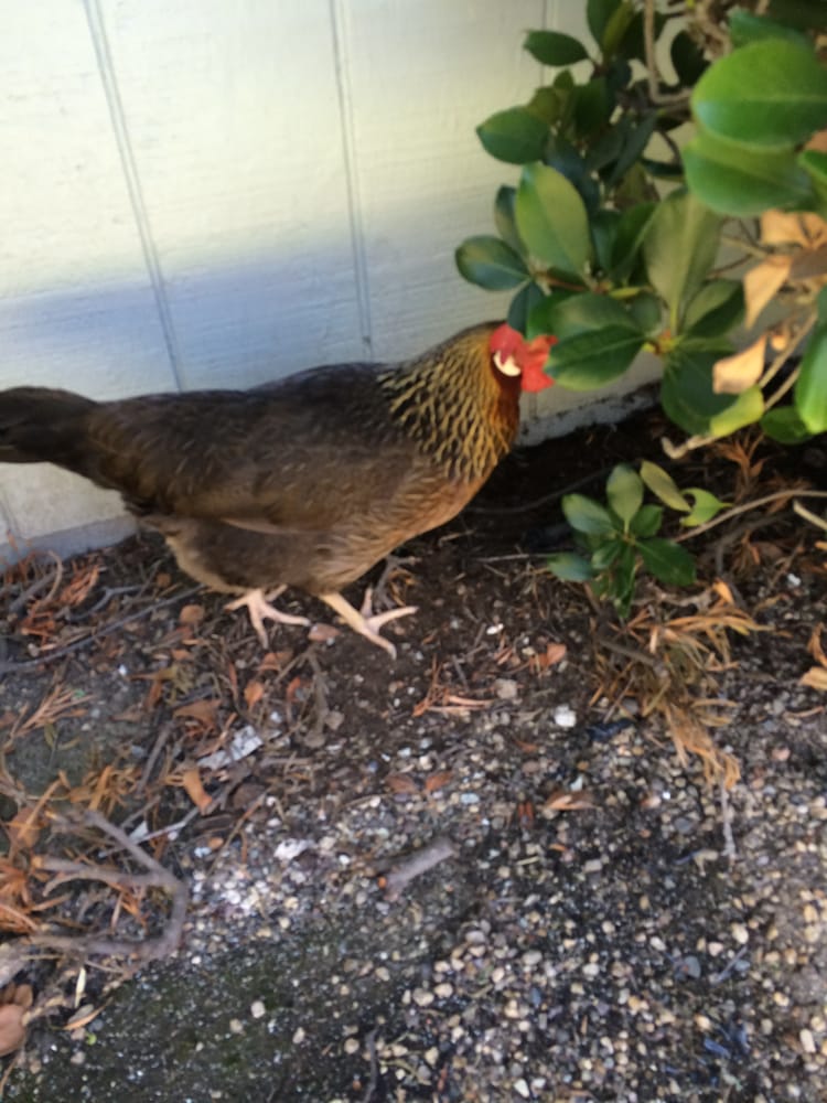 Tina J.'s profile image