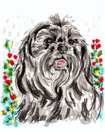 David G.'s profile image