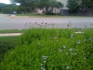 Heather S.'s profile image