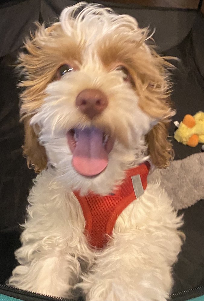 Steven F.'s profile image