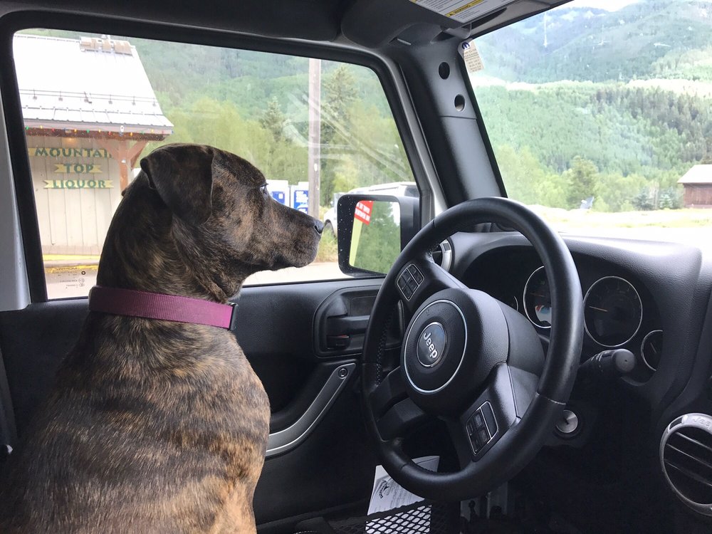 Brent H.'s profile image