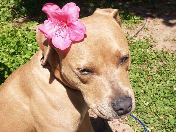 robin l.'s profile image