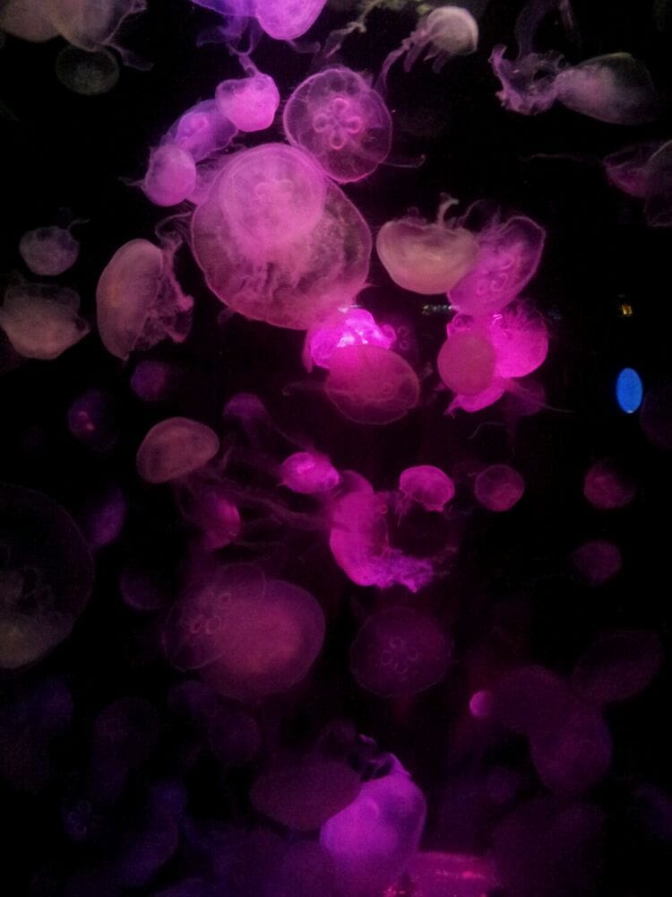 Mark F.'s profile image