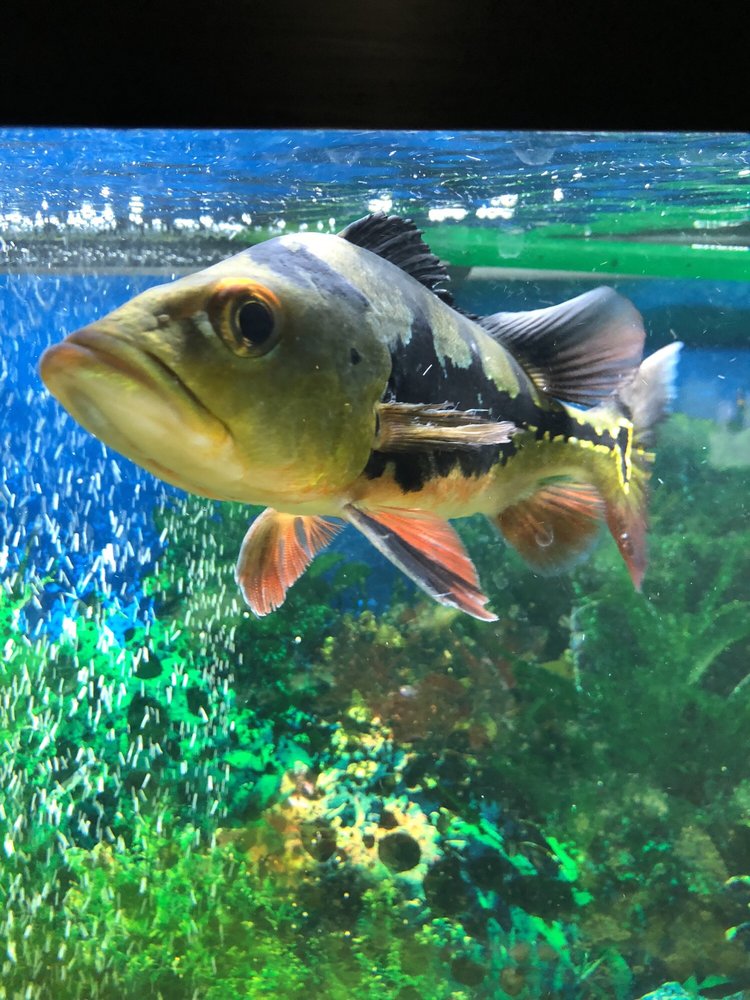 Bee S.'s profile image