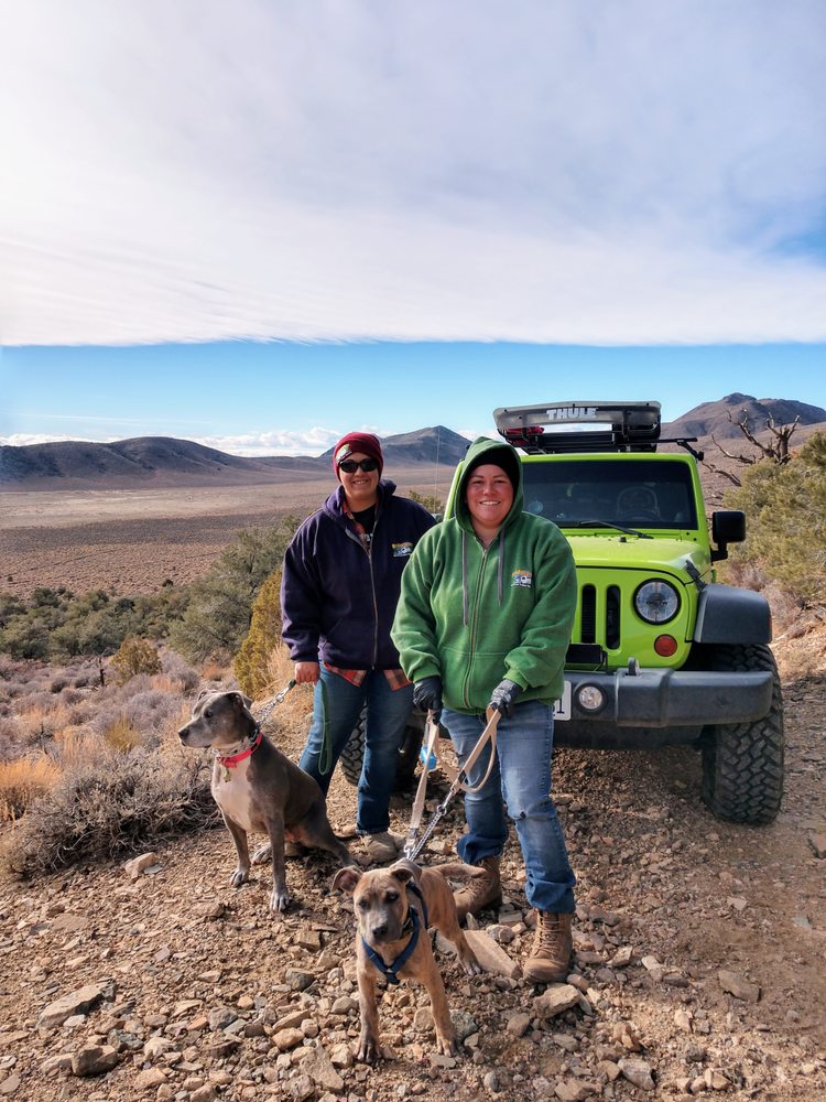 Daniella T.'s profile image