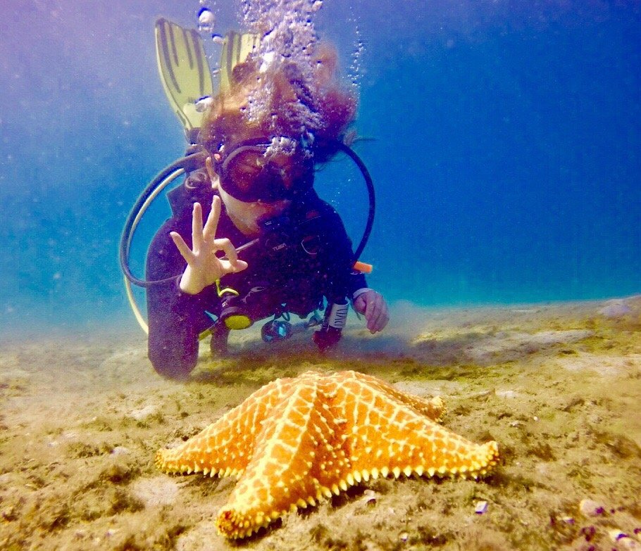 Roma J.'s profile image