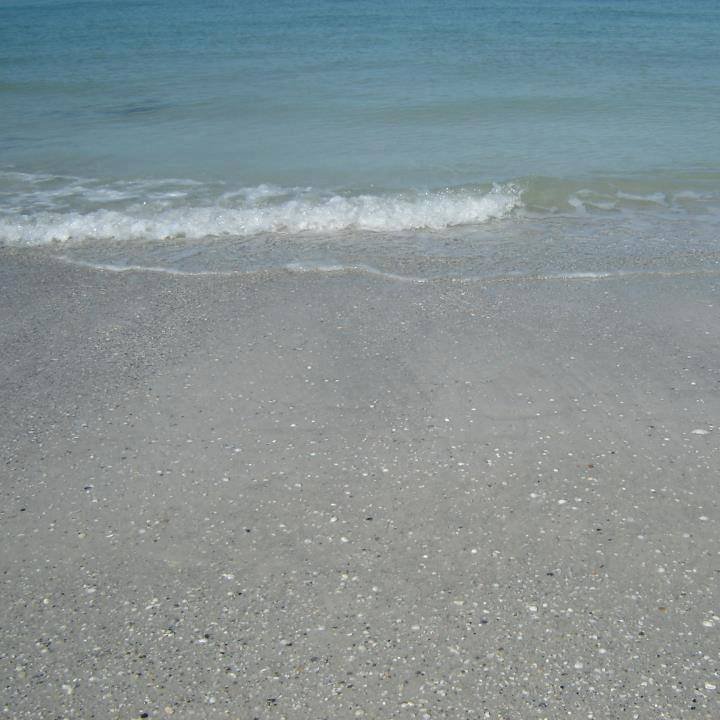 Miriam M.'s profile image