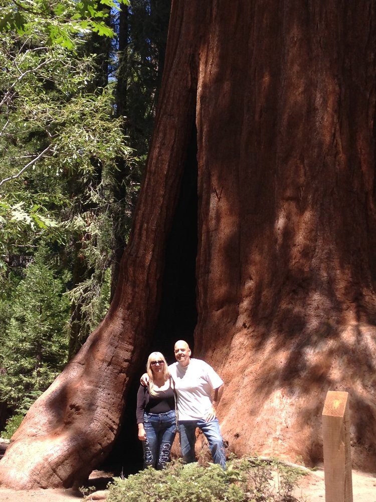 Ross M.'s profile image